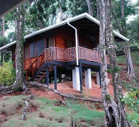Cabinas La Parcela Villa Dominical Exterior foto