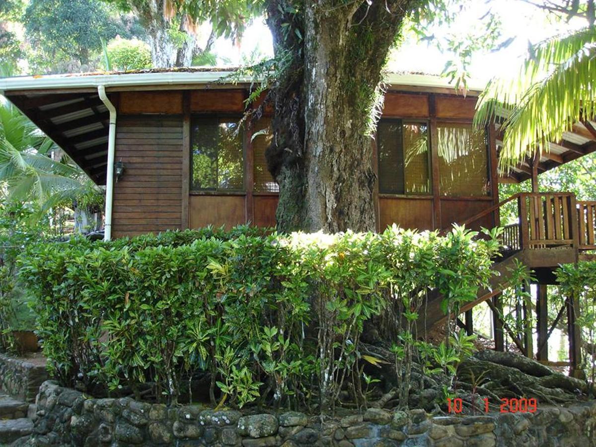 Cabinas La Parcela Villa Dominical Exterior foto