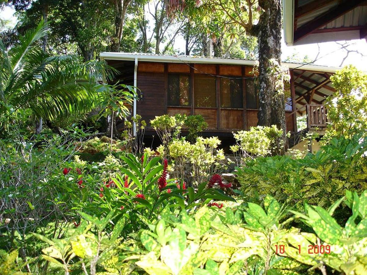 Cabinas La Parcela Villa Dominical Exterior foto